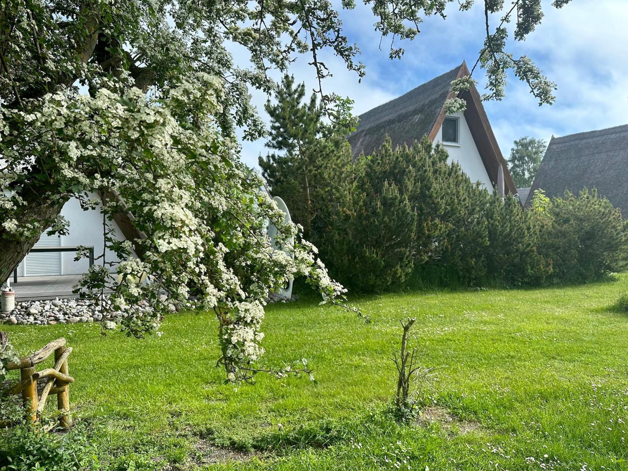 Finnhuette Nr.42 Auf Moenchgut Gager Eksteriør bilde
